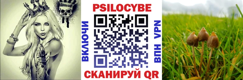 Купить где  Белогорск  Галлюциногенные грибы мицелий 